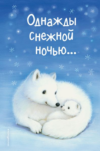 Однажды снежной ночью…