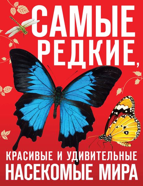 Самые редкие, красивые и удивительные насекомые мира