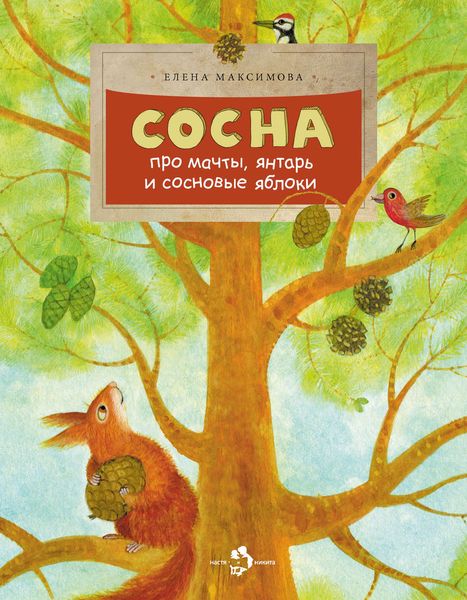 Сосна. Про мачты, янтарь и сосновые яблоки
