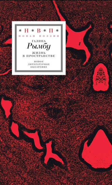 Жизнь в пространстве