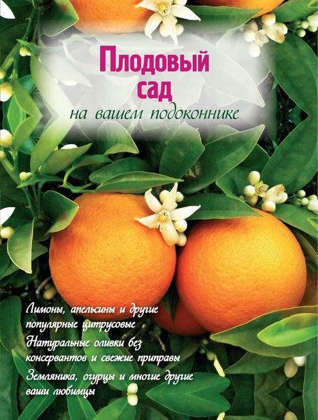 Плодовый сад на вашем подоконнике
