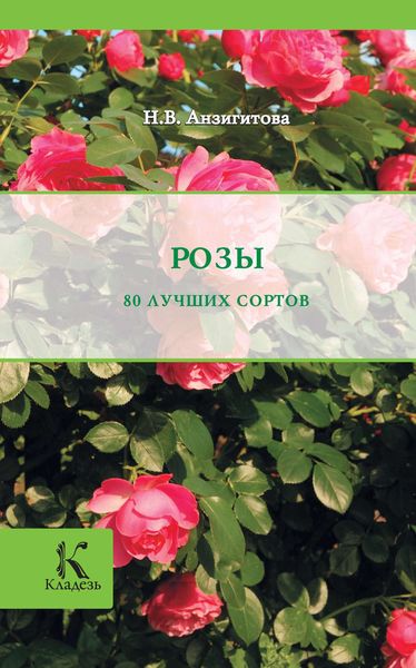 Розы
