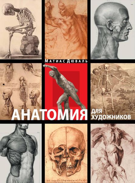Анатомия для художников