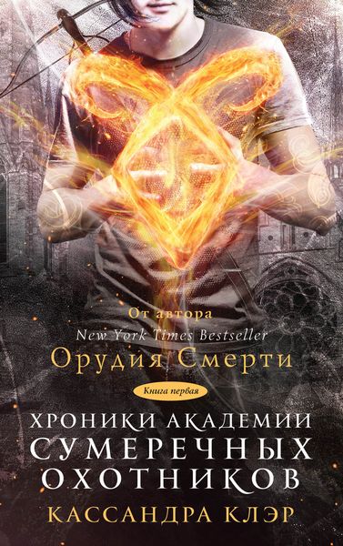 Хроники Академии Сумеречных охотников. Книга I