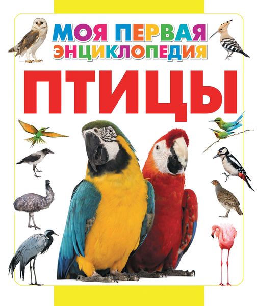 Птицы