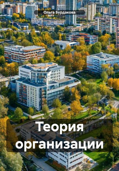 Теория организации