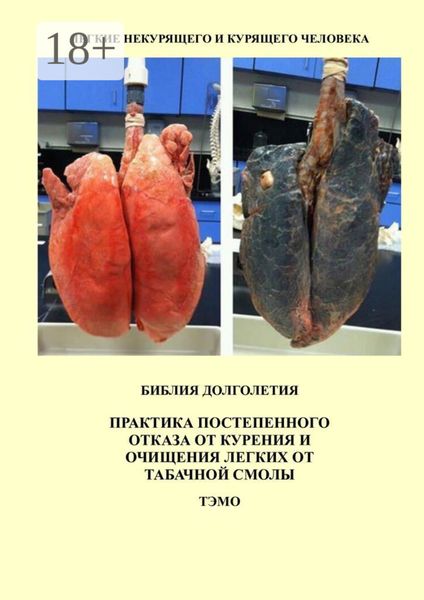 Практика постепенного отказа от курения и очищения легких от табачной смолы