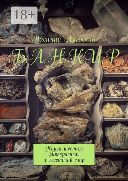 Банкир. Книга шестая: Прекрасный и жестокий мир