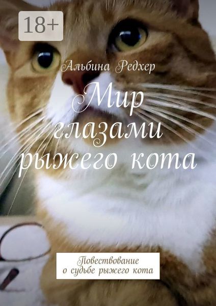 Мир глазами рыжего кота. Повествование о судьбе рыжего кота