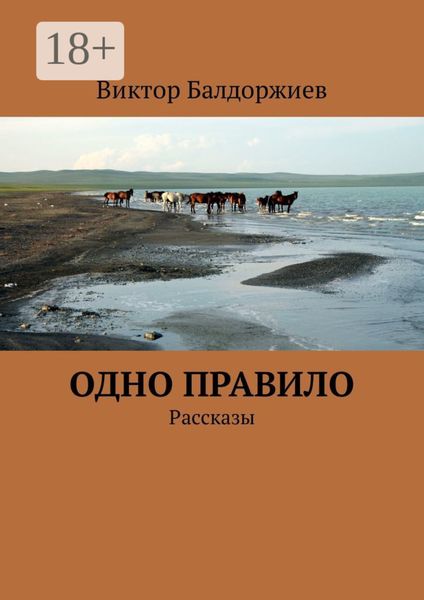 Одно правило. Рассказы