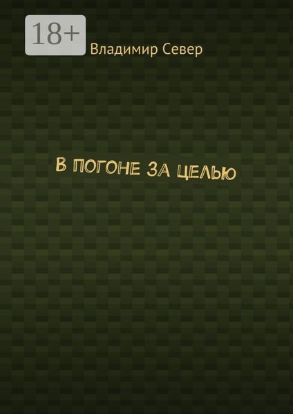 В погоне за целью