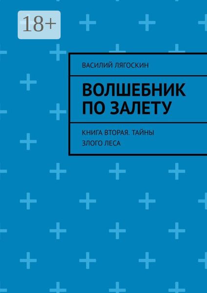 Волшебник по залету. Книга вторая. Тайны Злого Леса