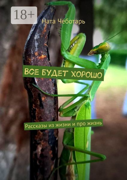 Все будет хорошо. Рассказы из жизни и про жизнь