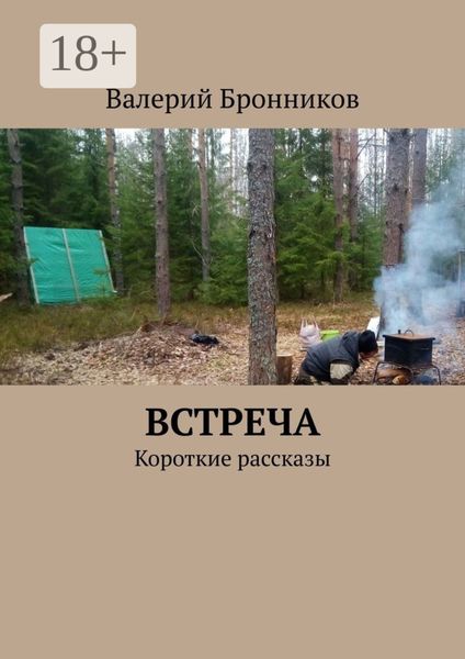 Встреча. Короткие рассказы