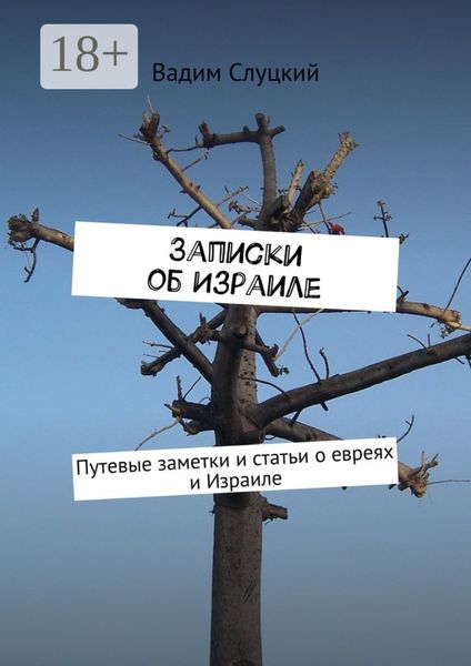 Записки об Израиле. Путевые заметки и статьи о евреях и Израиле