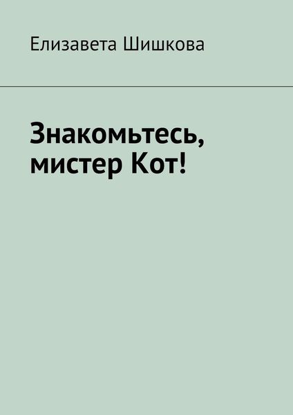 Знакомьтесь, мистер Кот!
