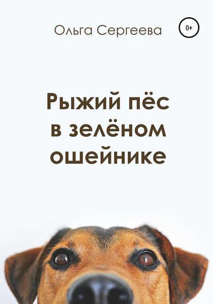 Рыжий пёс в зелёном ошейнике