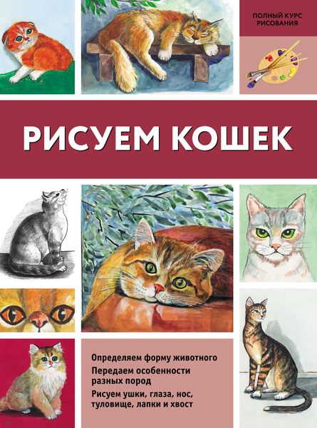 Рисуем кошек