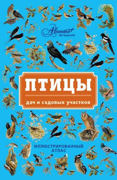 Птицы дач и садовых участков