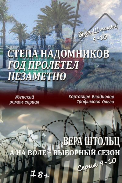 Степа Надомников. Жизнь на чужбине. Год пролетел незаметно. Вера Штольц. А на воле – выборный сезон. Серия 9–10