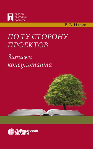 По ту сторону проектов. Записки консультанта